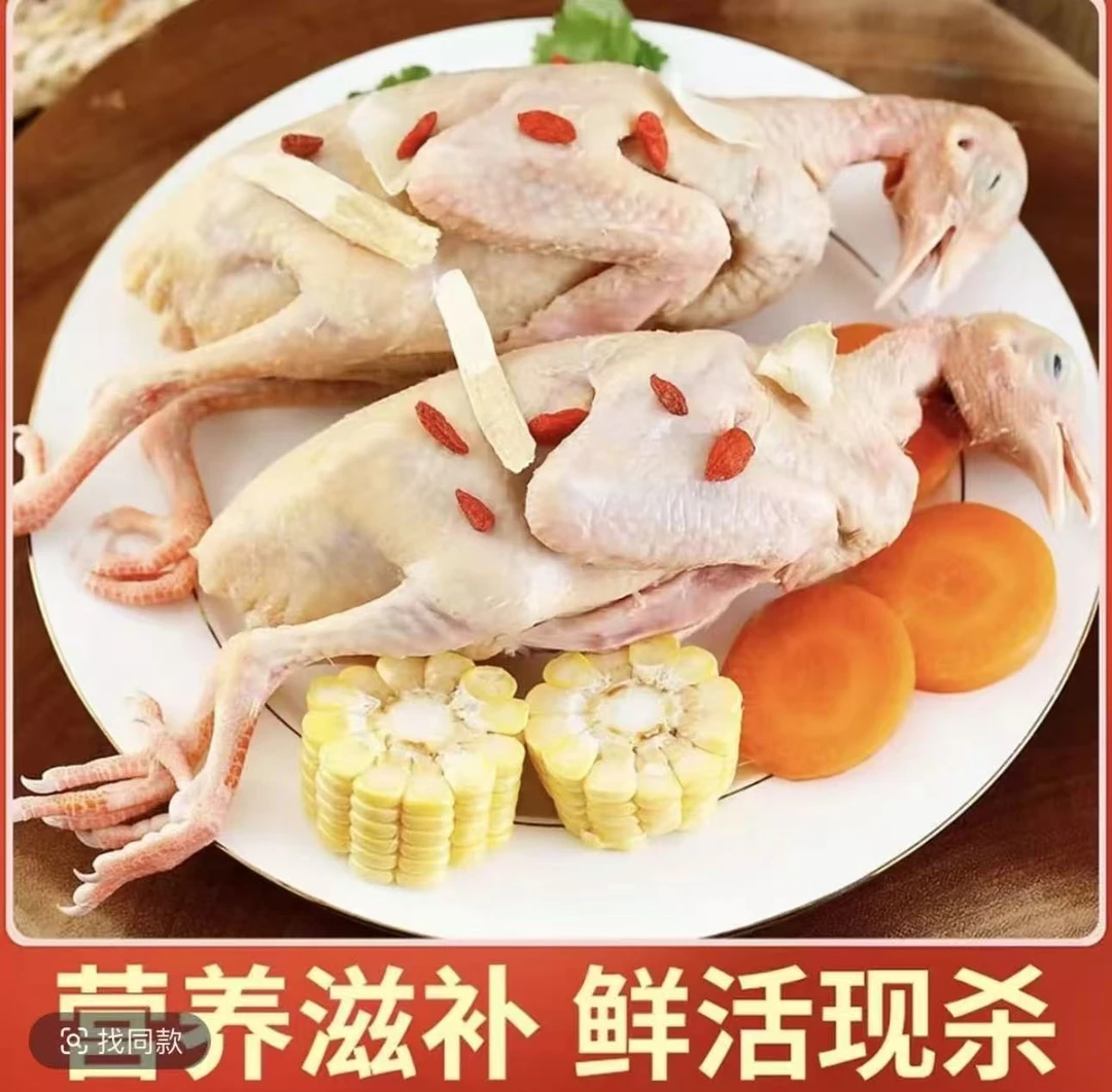 RH买5送1农家散养土鸽子新鲜现杀带内脏急冻锁鲜