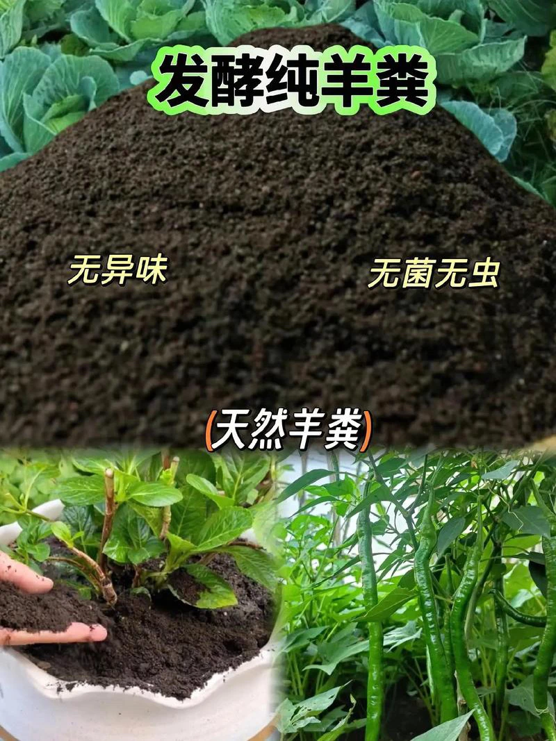 成林牡丹 花艳艳 牡丹专用发酵羊粪通用型