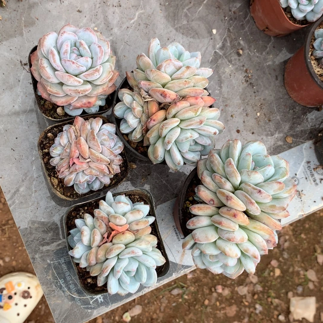 哈哈哈哈哈哈哈哈哈