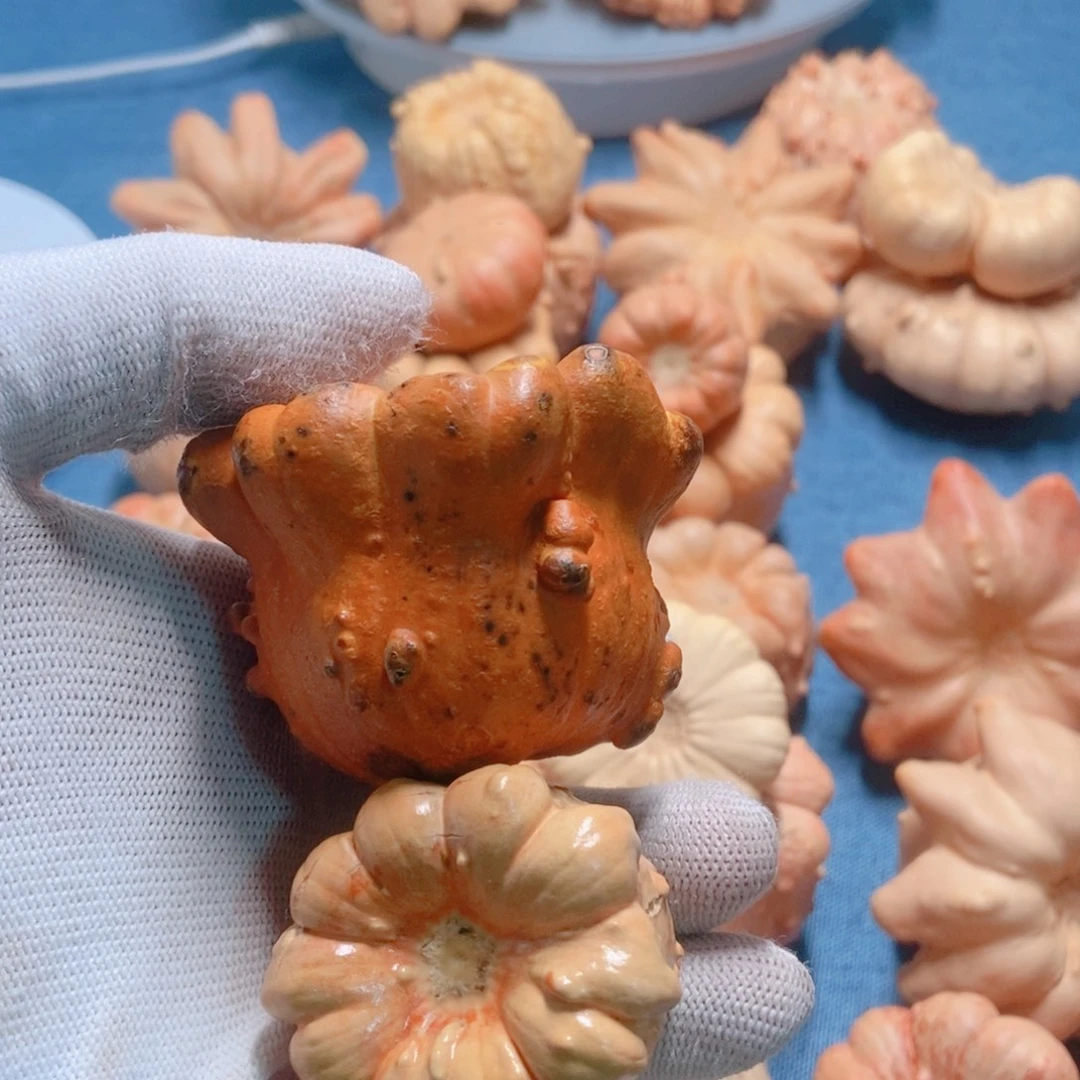 冷***∞葫芦墨西哥七彩疙瘩葫芦