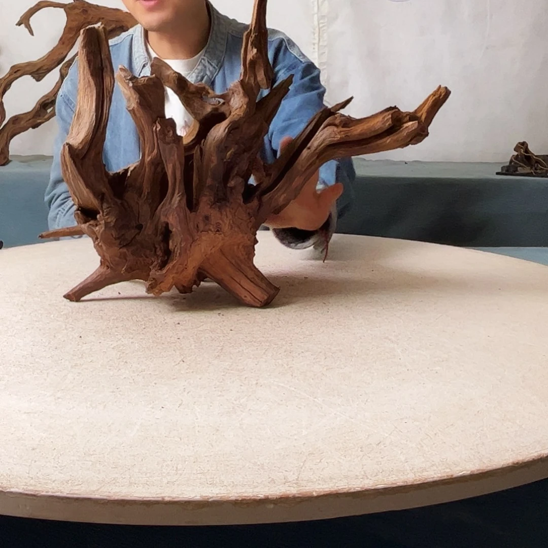 沉木造景爬宠造景