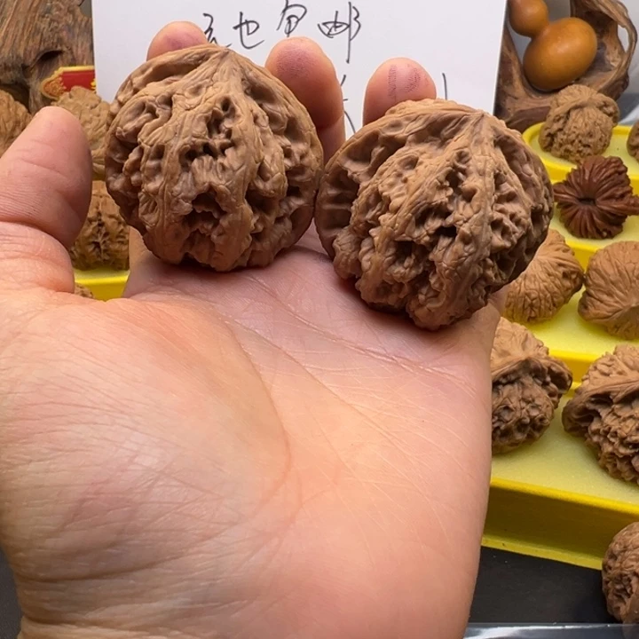 用***6核桃全品粗筋46尺