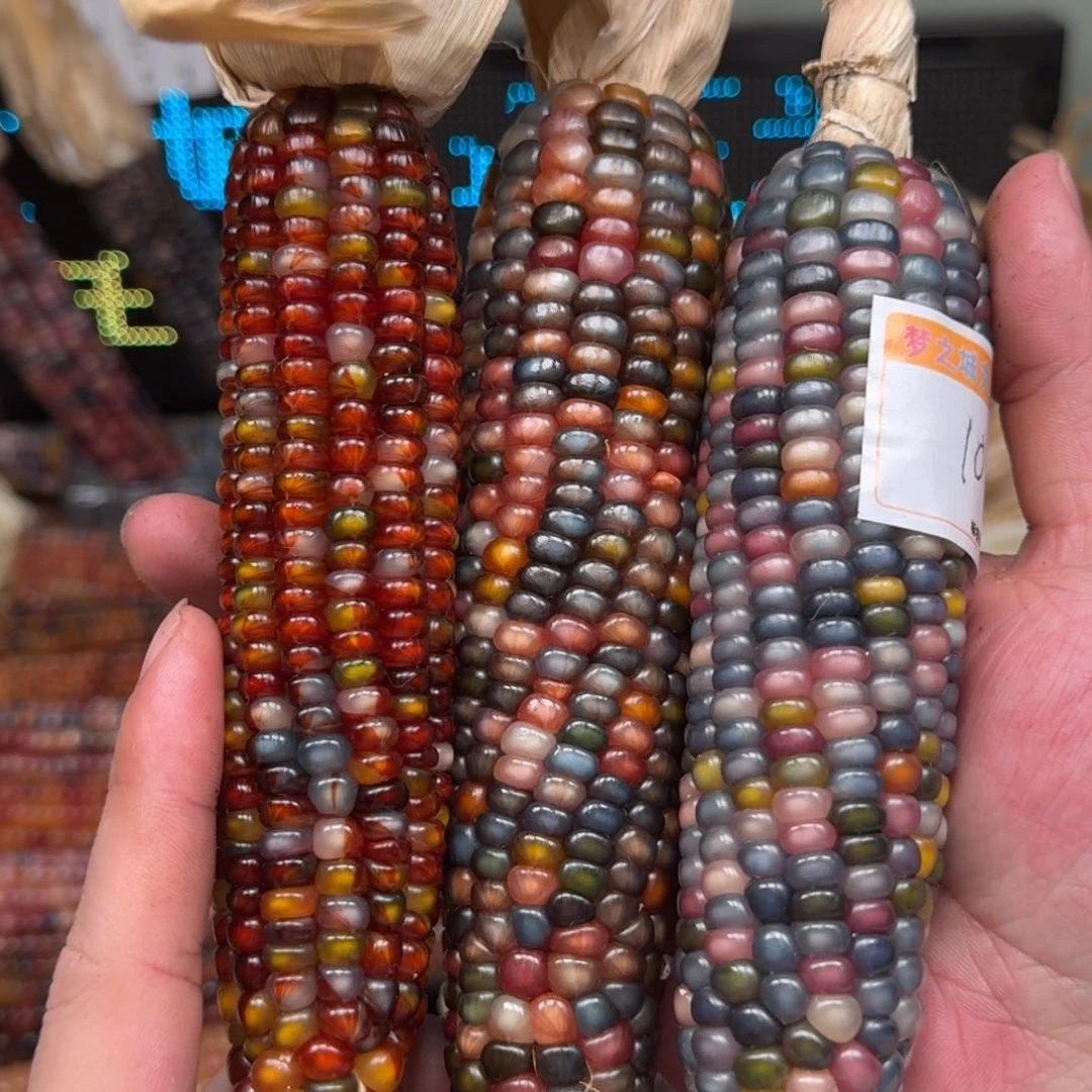 柏香籽/百香籽吊坠你*没