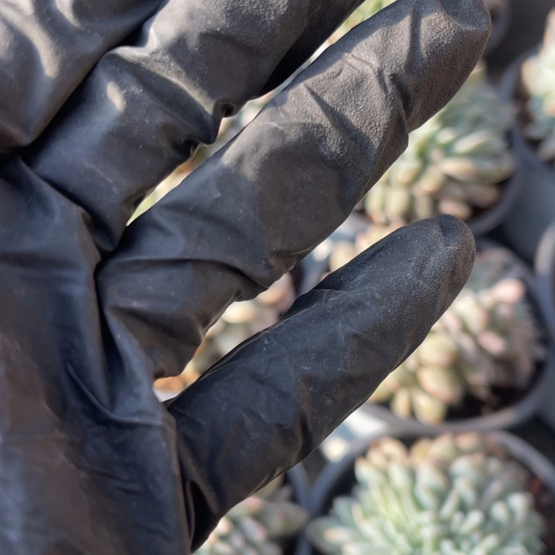 浅***星1111144444444444444