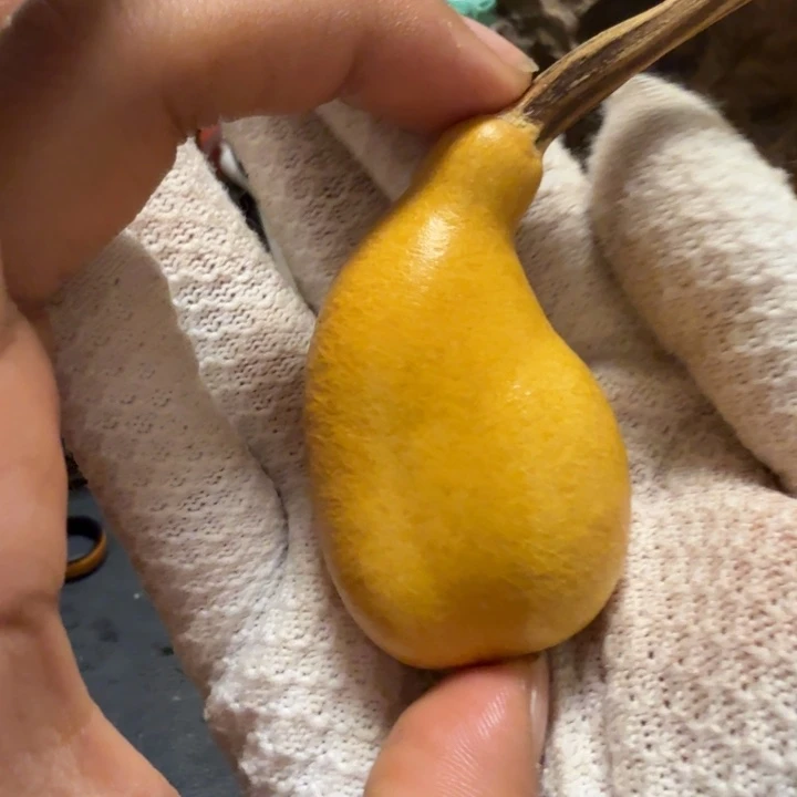 张***毓66…………………………………………