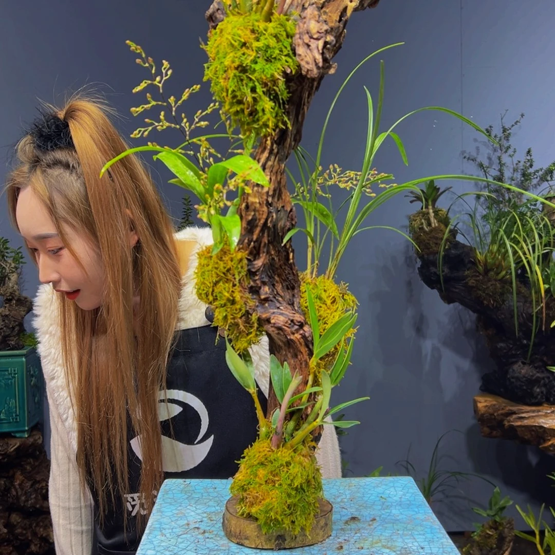 舞***姬完全开放111111111111