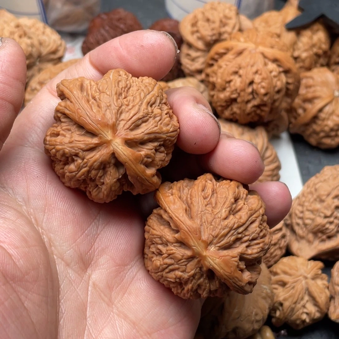 文玩核桃把件寅*君粗筋