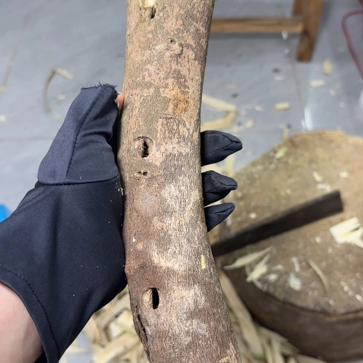 ****欢木凹身原木发一份