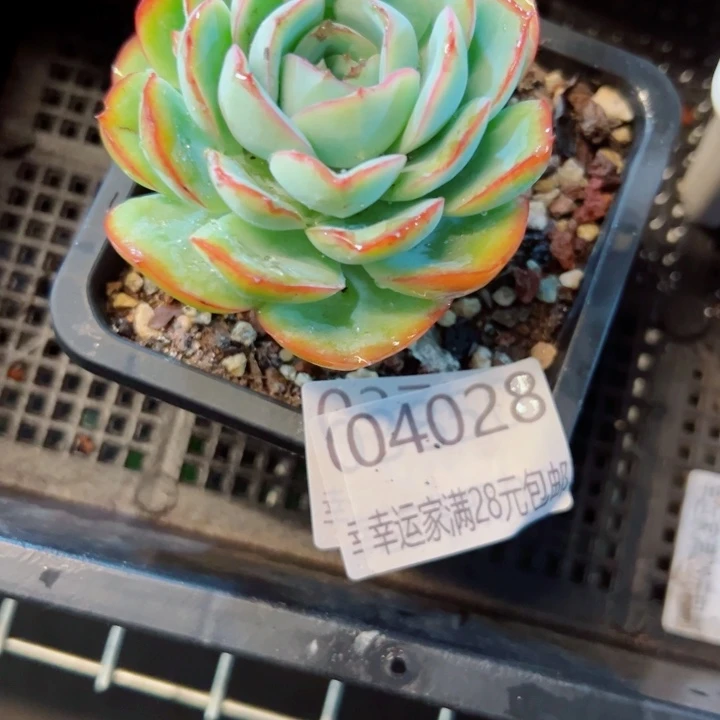 闲***风幸运的是我还没遇到你