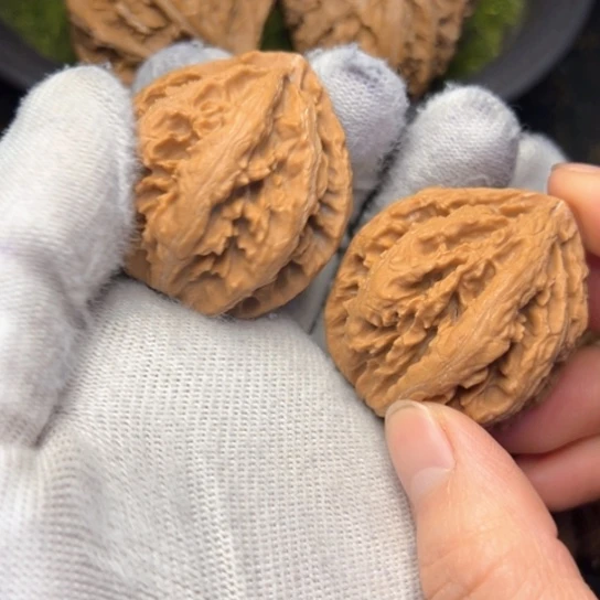 x***m把件文玩核桃秦岭核桃30