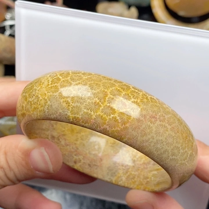 硅化玉未镶嵌颈饰57.5