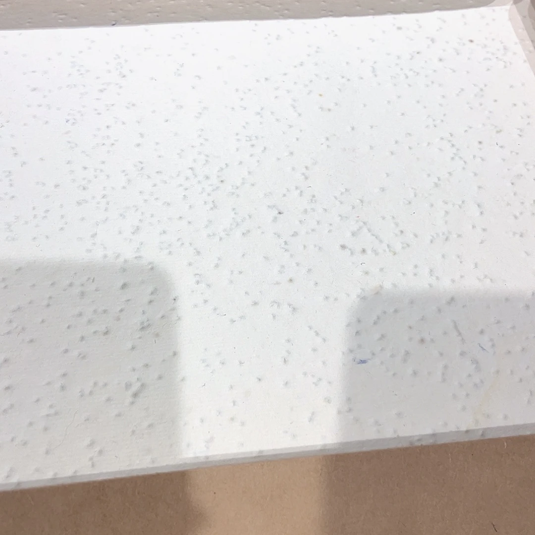 种子纸34✖️34张