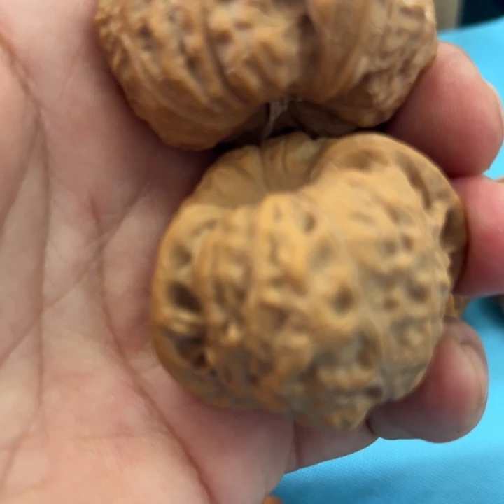 默***闻核桃南瓜墩开播福利