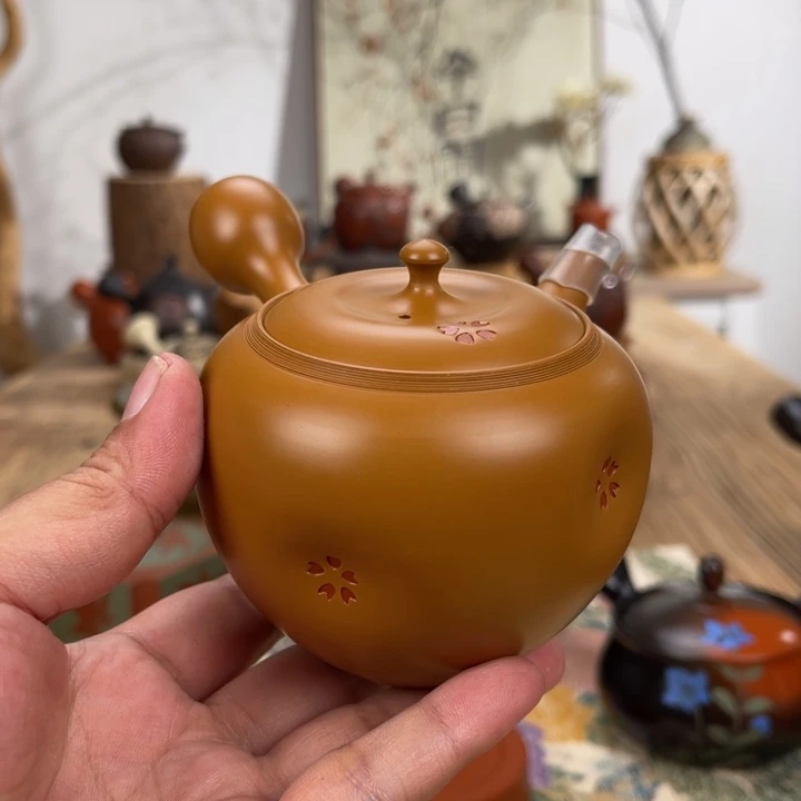 秋****常滑二代舜园茶壶