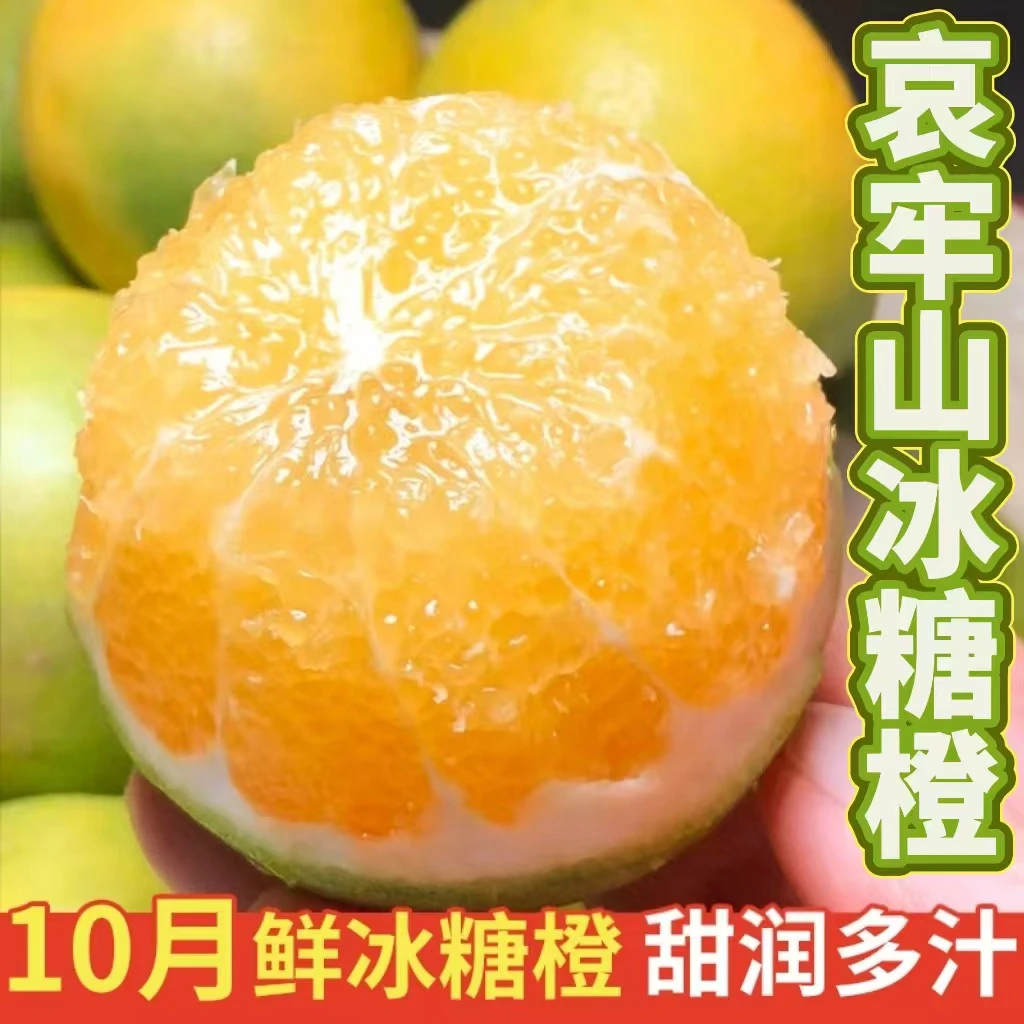 【哀牢山冰糖橙】甜橙正宗蜜橙手剥果冻橙子新鲜水果应季孕妇水果