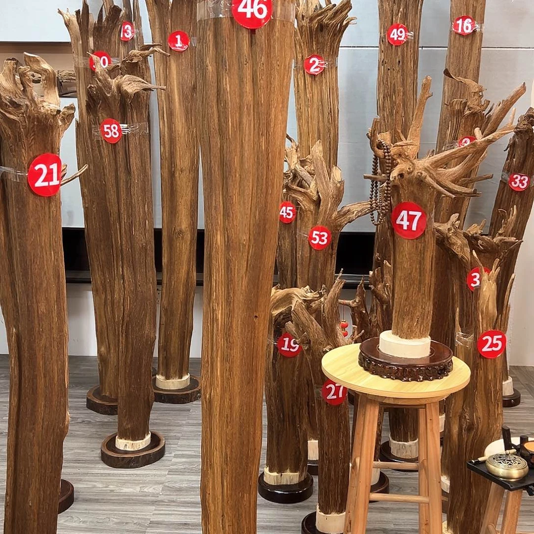 沉香沉香碎屑?沉香