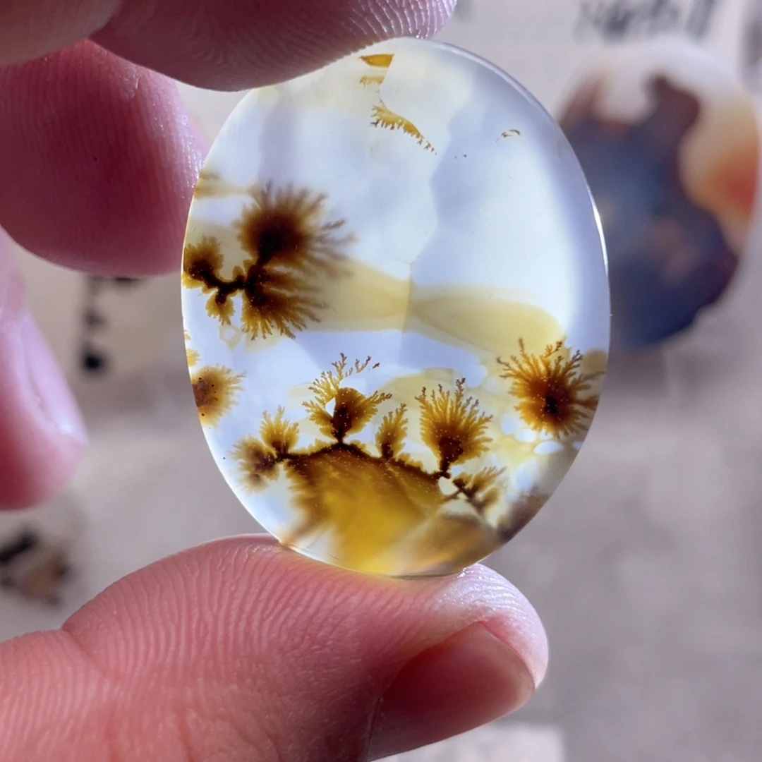 【闪购商品】玛瑙/玉髓颈饰未镶嵌用****6