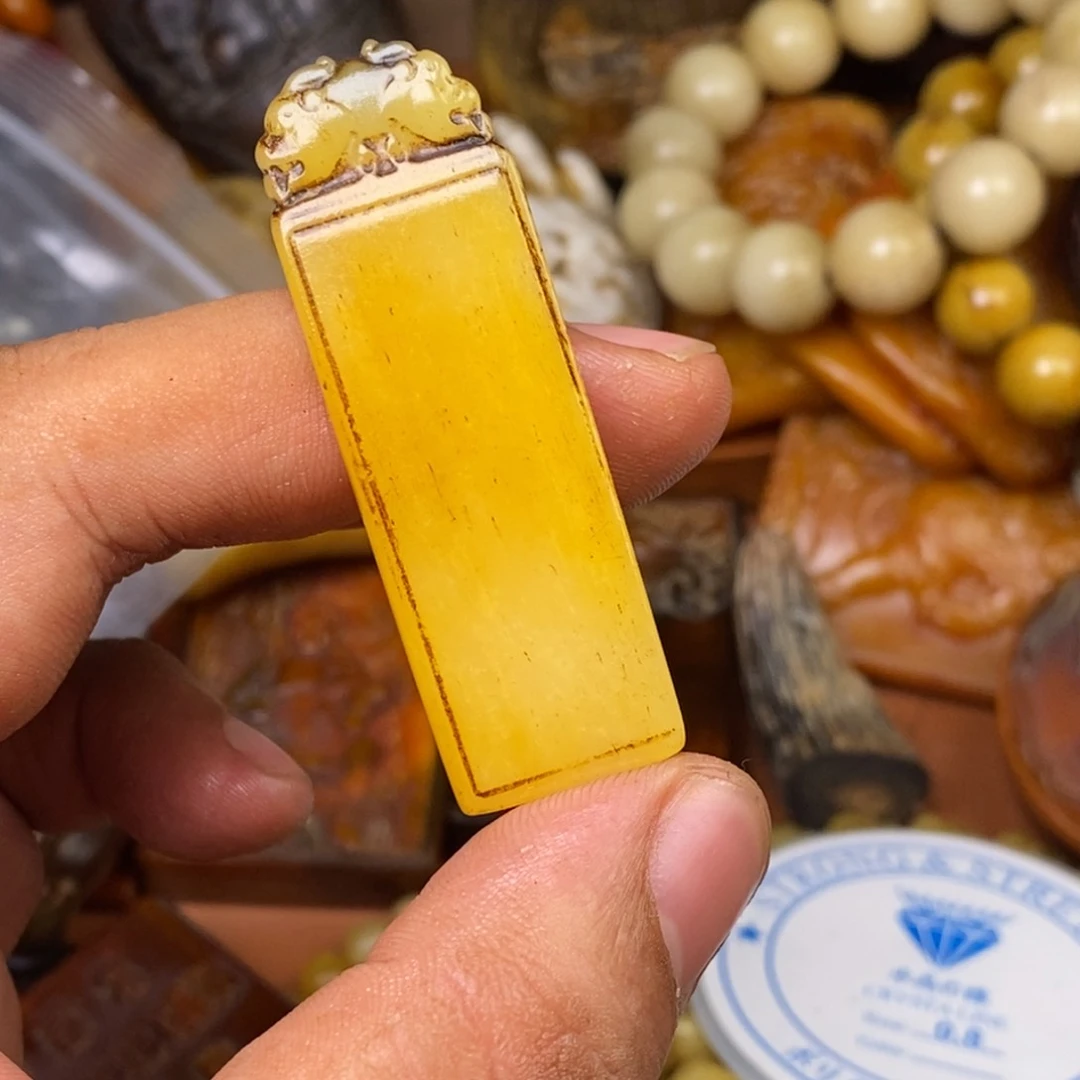 其他驼骨人工样子