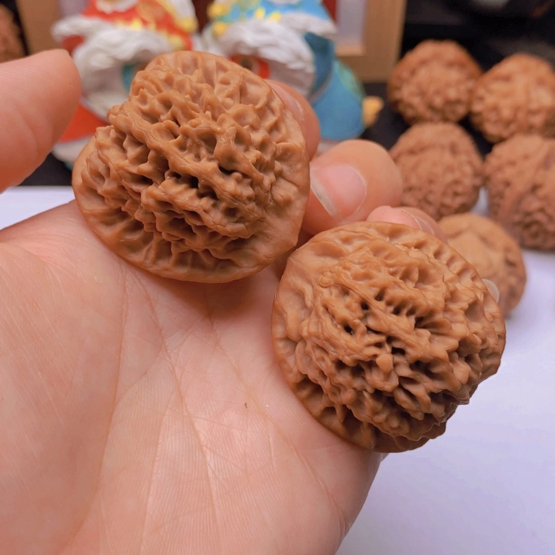 观***）37尺全品秦闷老树A537