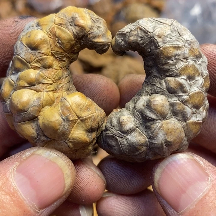 吊坠文玩核桃东北特产121