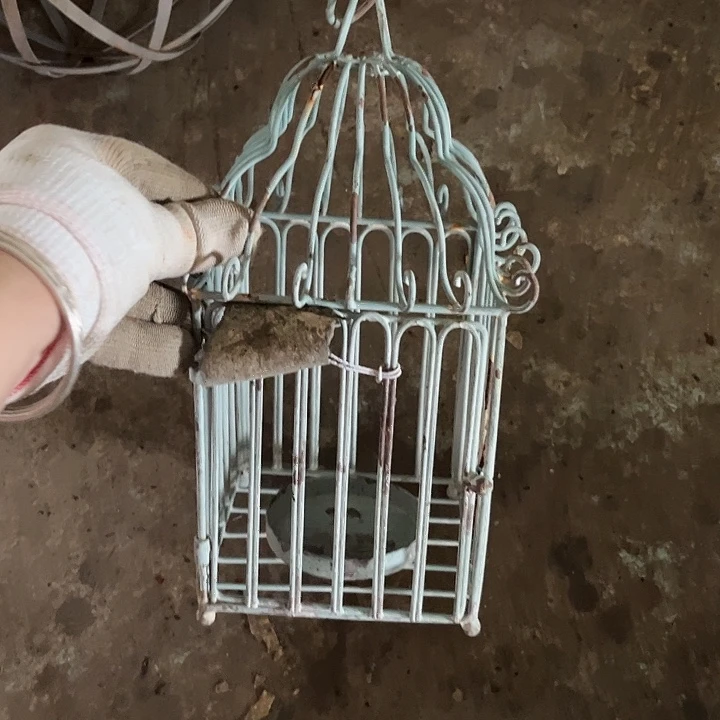 哈哈你也是哦我也是哦