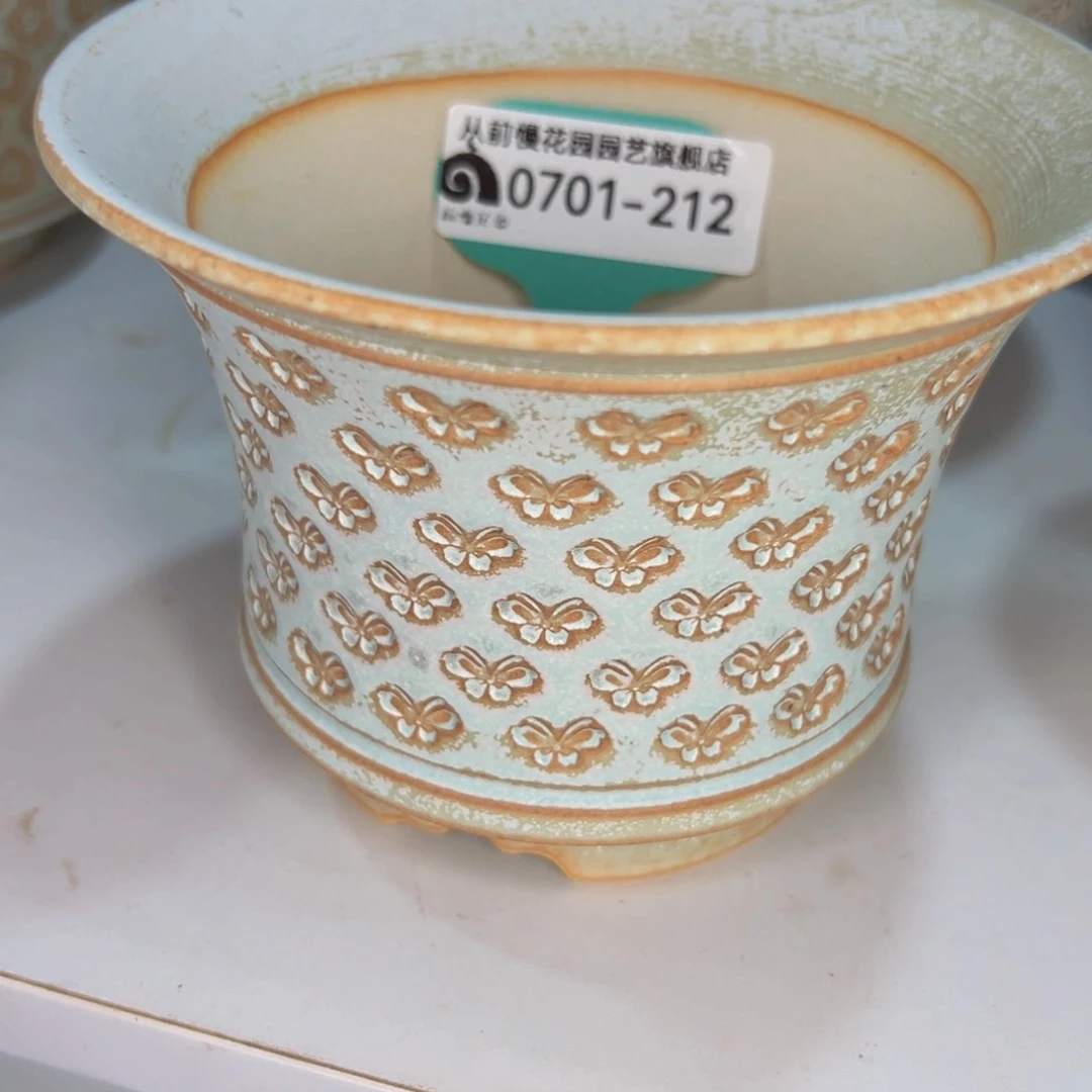 多肉一物一拍0701-212