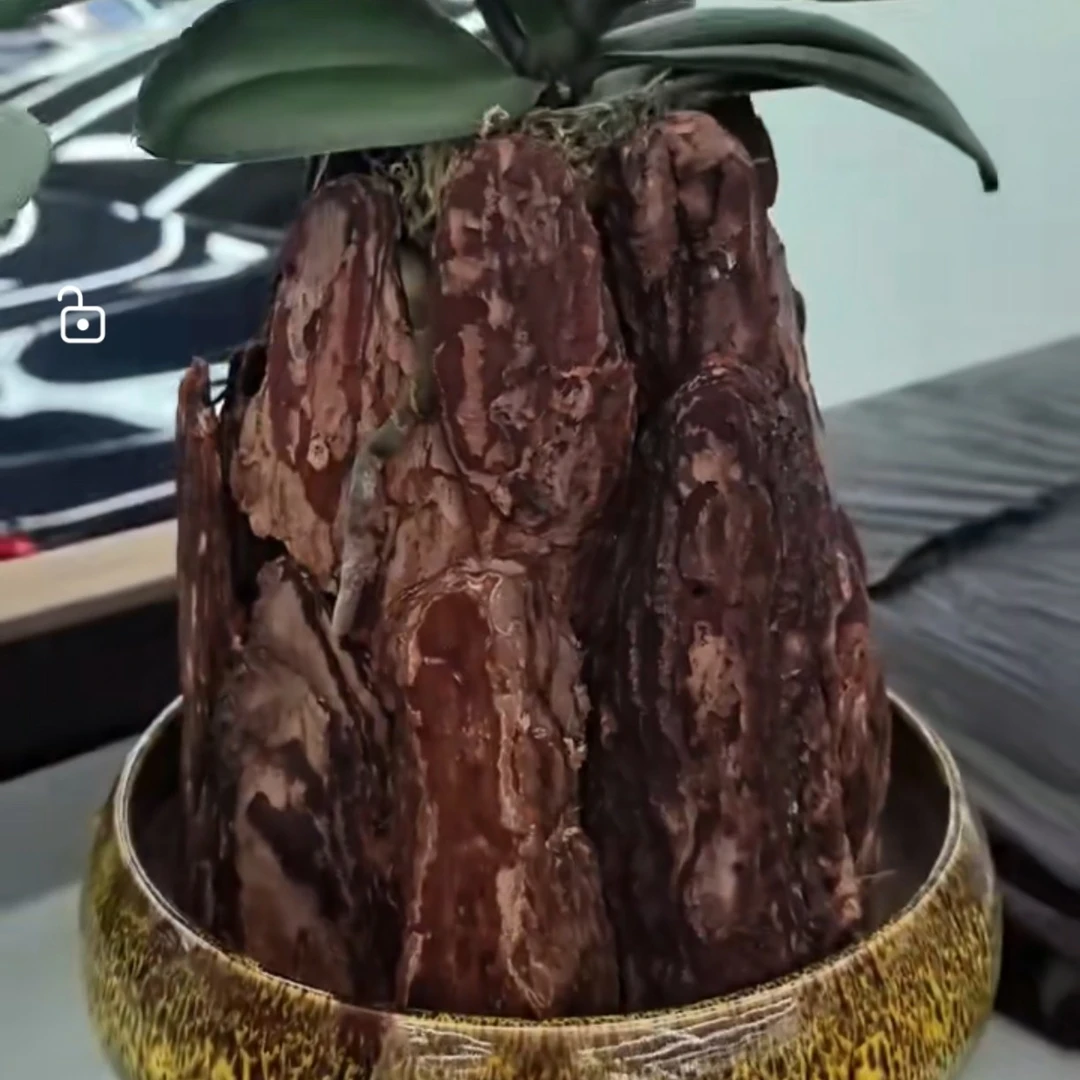 打磨发酵松树皮园艺铺面树穴有机覆盖物防尘保湿宠物垫材