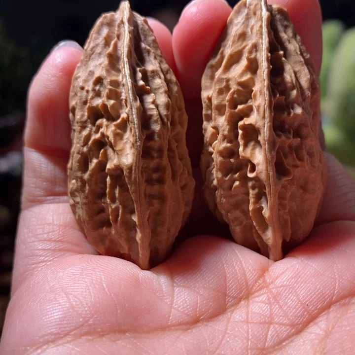 文玩核桃把件东北楸子小路 161