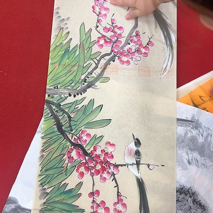 横款开播时间播出地点