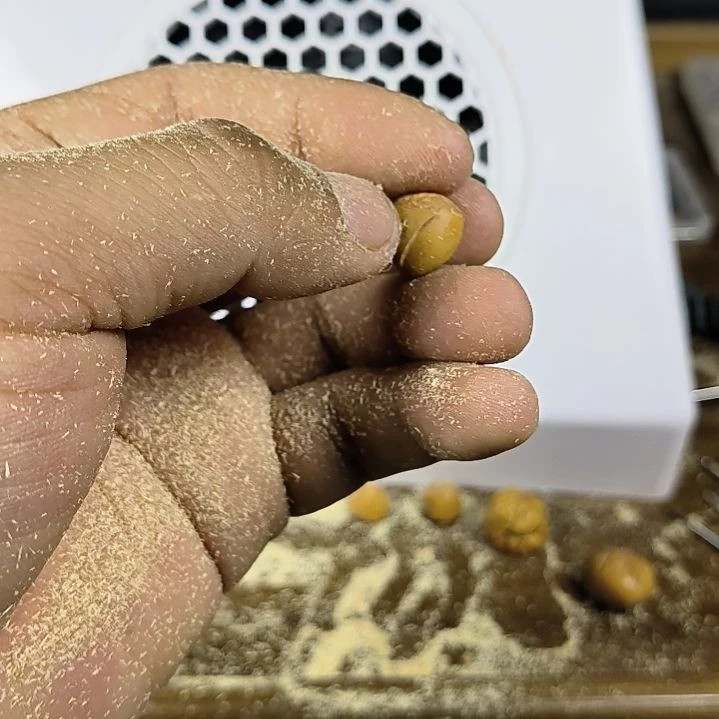 凤眼菩提吊坠@**头尼泊尔凤眼龙眼佛塔