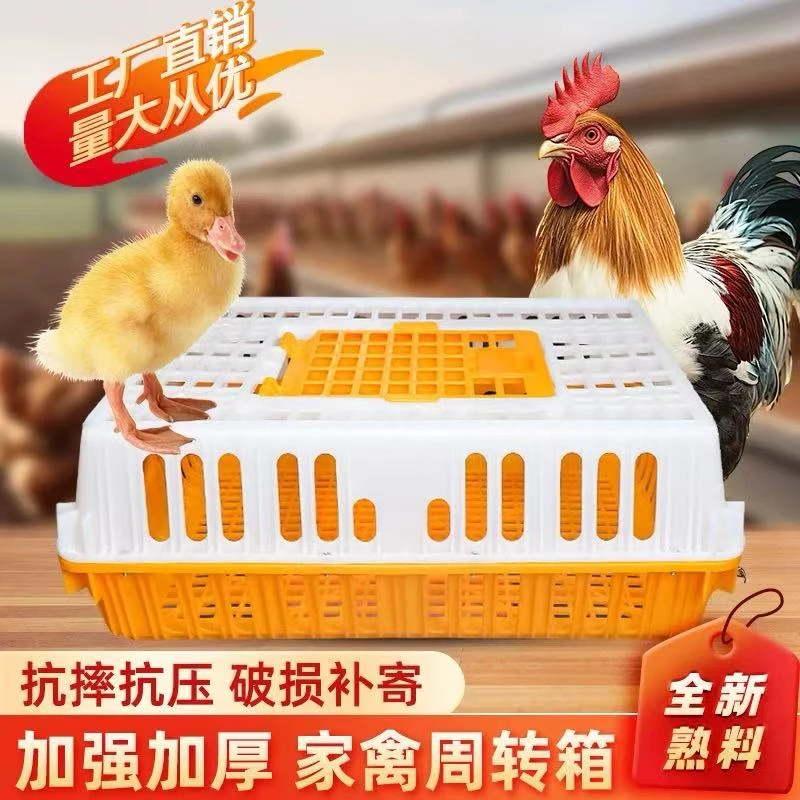 鸡鸭鹅活体运输箱加厚5纯白