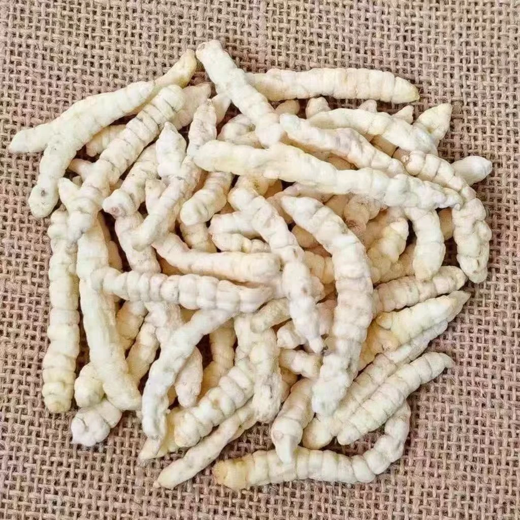 高山优选农家白虫草 干货