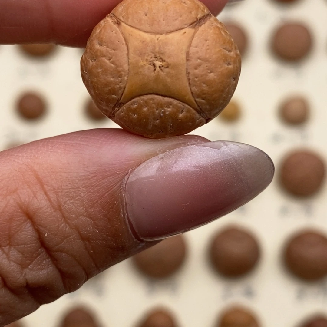 吊坠凤眼菩提麒麟