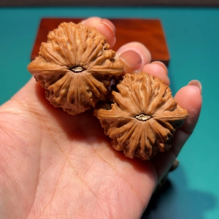 半***梅核桃41尺寸磨盘狮子头