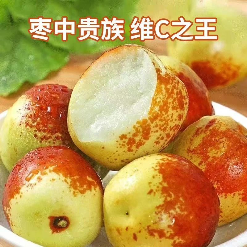 正宗大荔冬枣现摘现发应季新鲜脆甜多汁水果