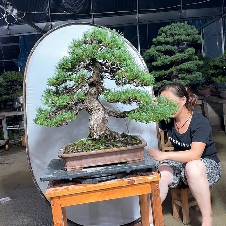 完全开放脱盆包邮到家顺丰包邮