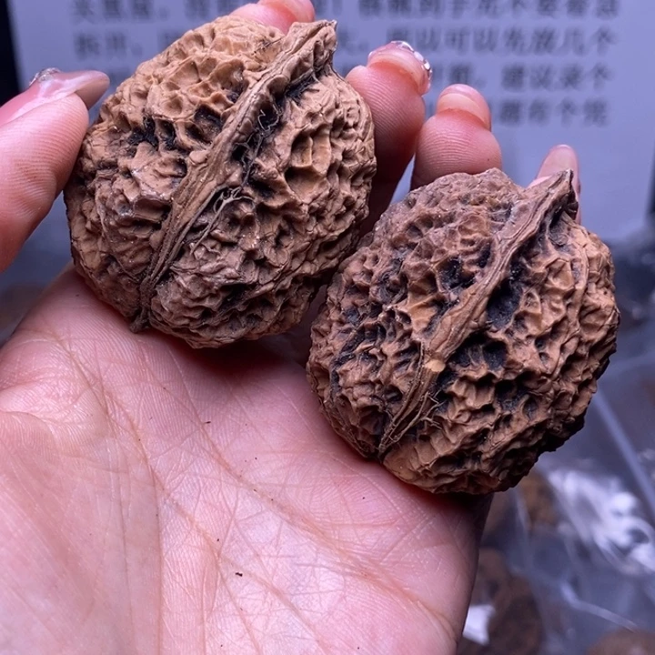 核桃云南野生铁核桃127号40mm