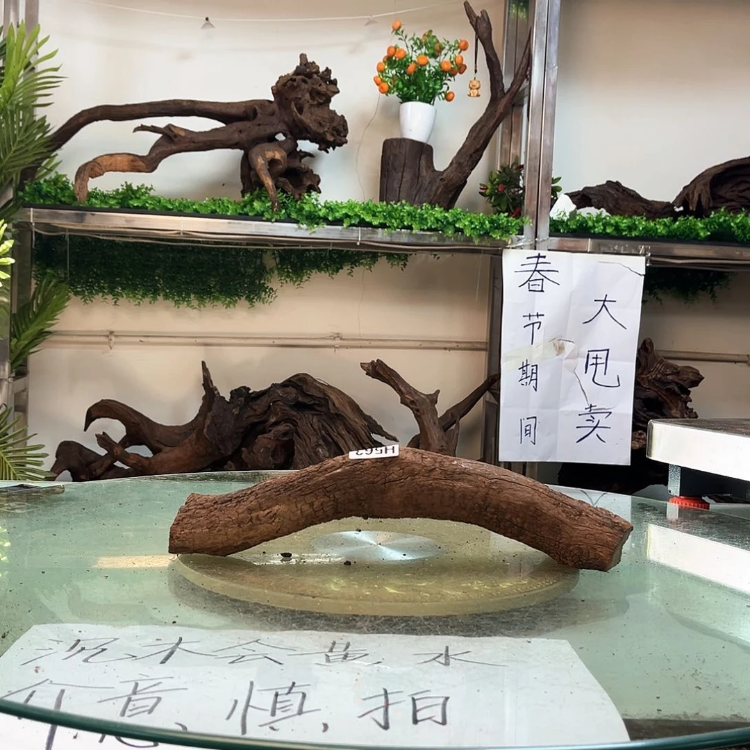 柚木沉木鱼缸造景