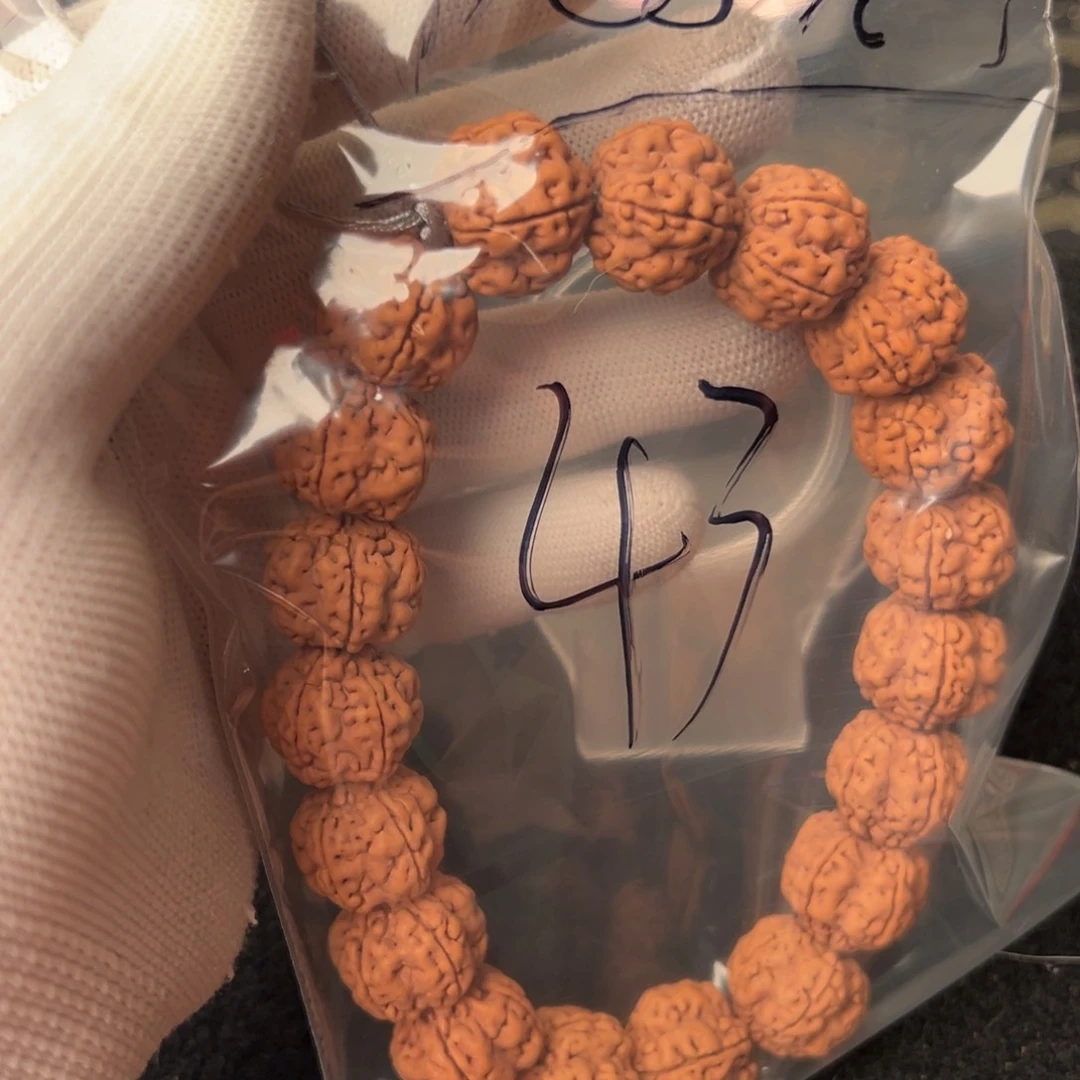 金刚菩提吊坠快**录43啊啊啊啊啊啊啊