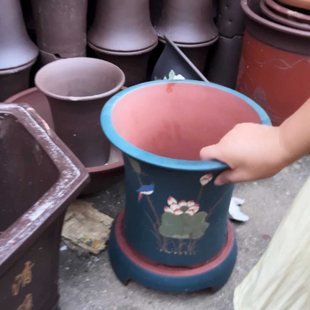 蓝荷花精品兰花盆加拖