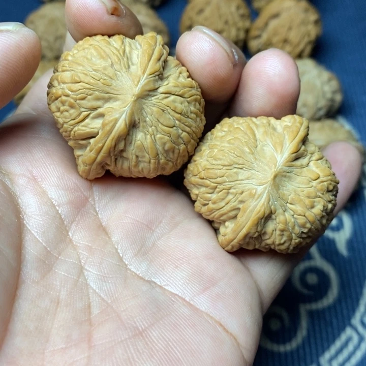 全品泥鳅背39尺寸