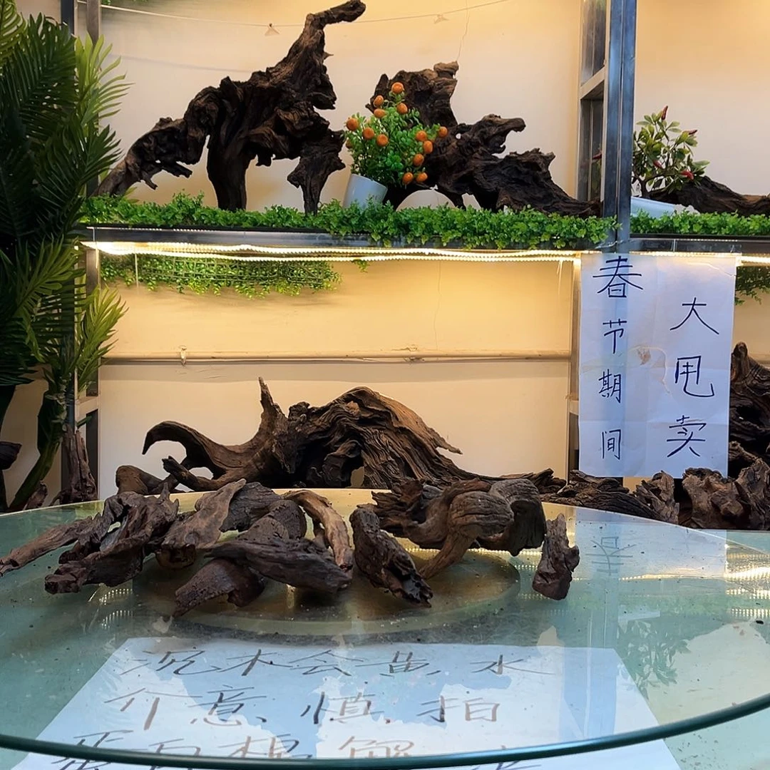 柚木白**狗沉木鱼缸造景