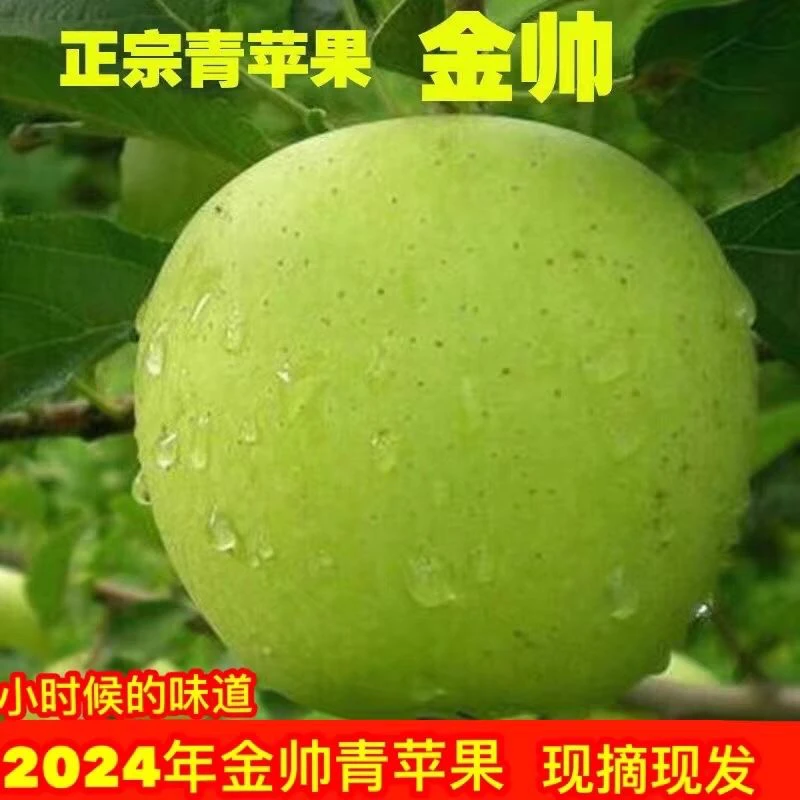 中秋福利云南金帅脆甜青苹果