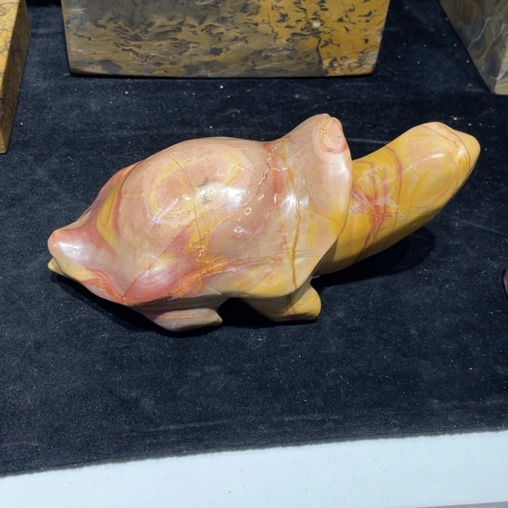用***4玉化乌龟乌龟乌龟