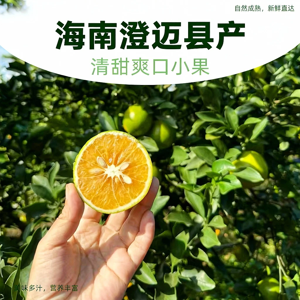 海南澄迈福橙电商小果 【5斤】装 清甜爽口 包邮到家