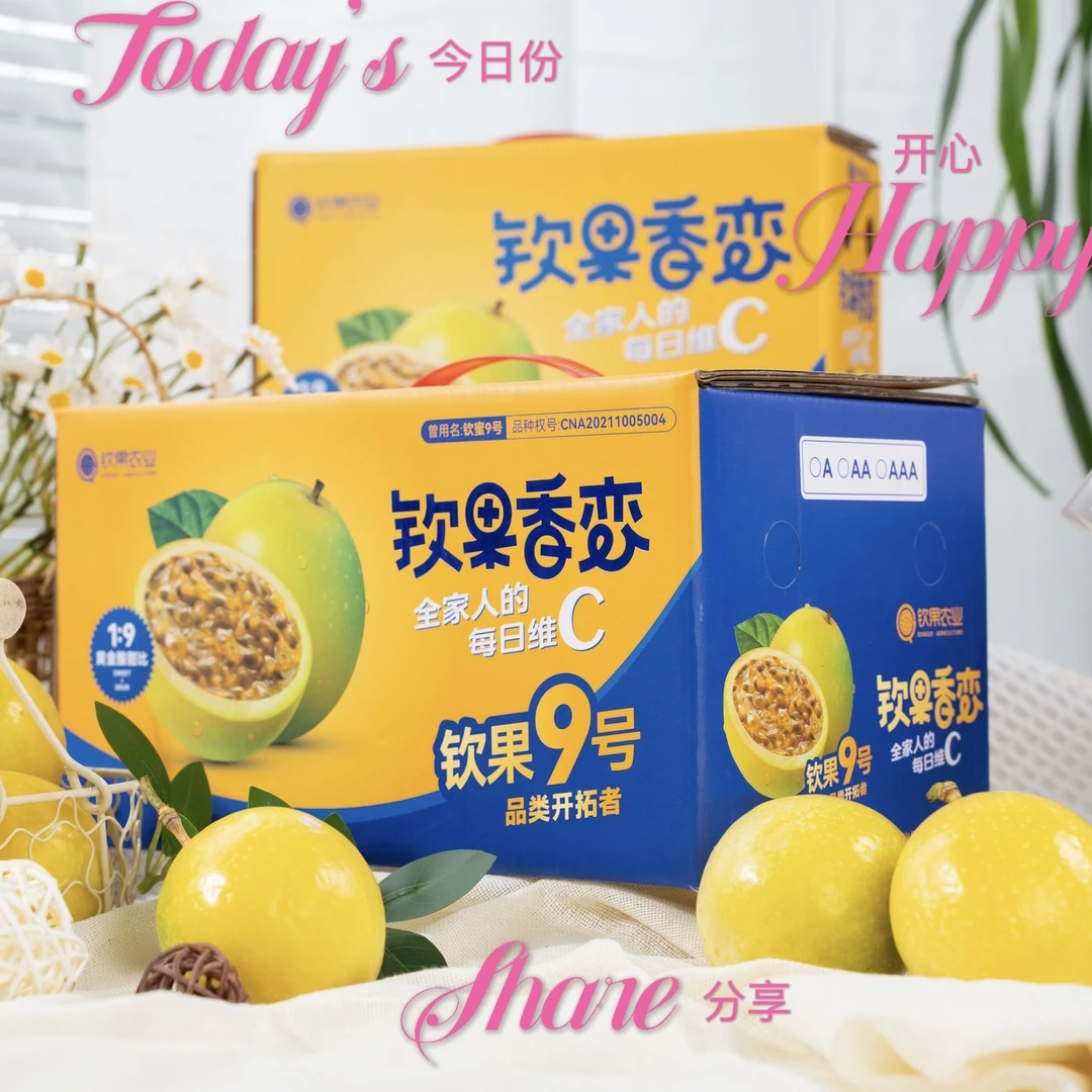 钦蜜9号百香果黄金百香果礼盒装钦蜜9号果园直采直发送朋友家人