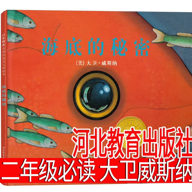 海底的秘密 河北教育出版社 二年级必读绘本课外书 【美】大卫·威斯