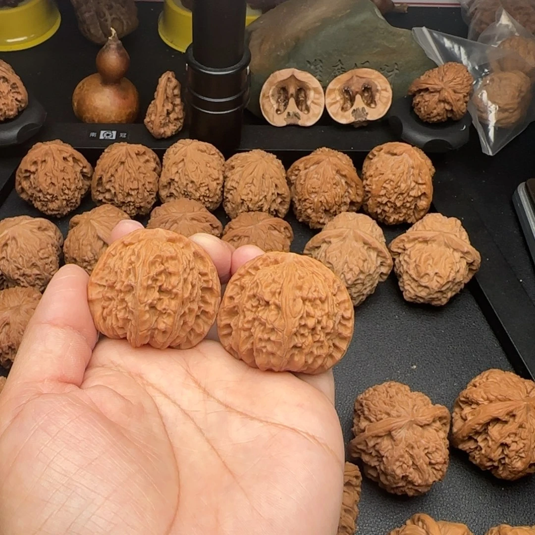 41尺全品无修白狮子