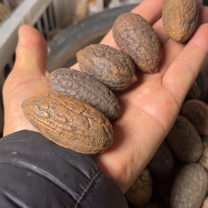 吊坠千眼菩提千眼菩提第67