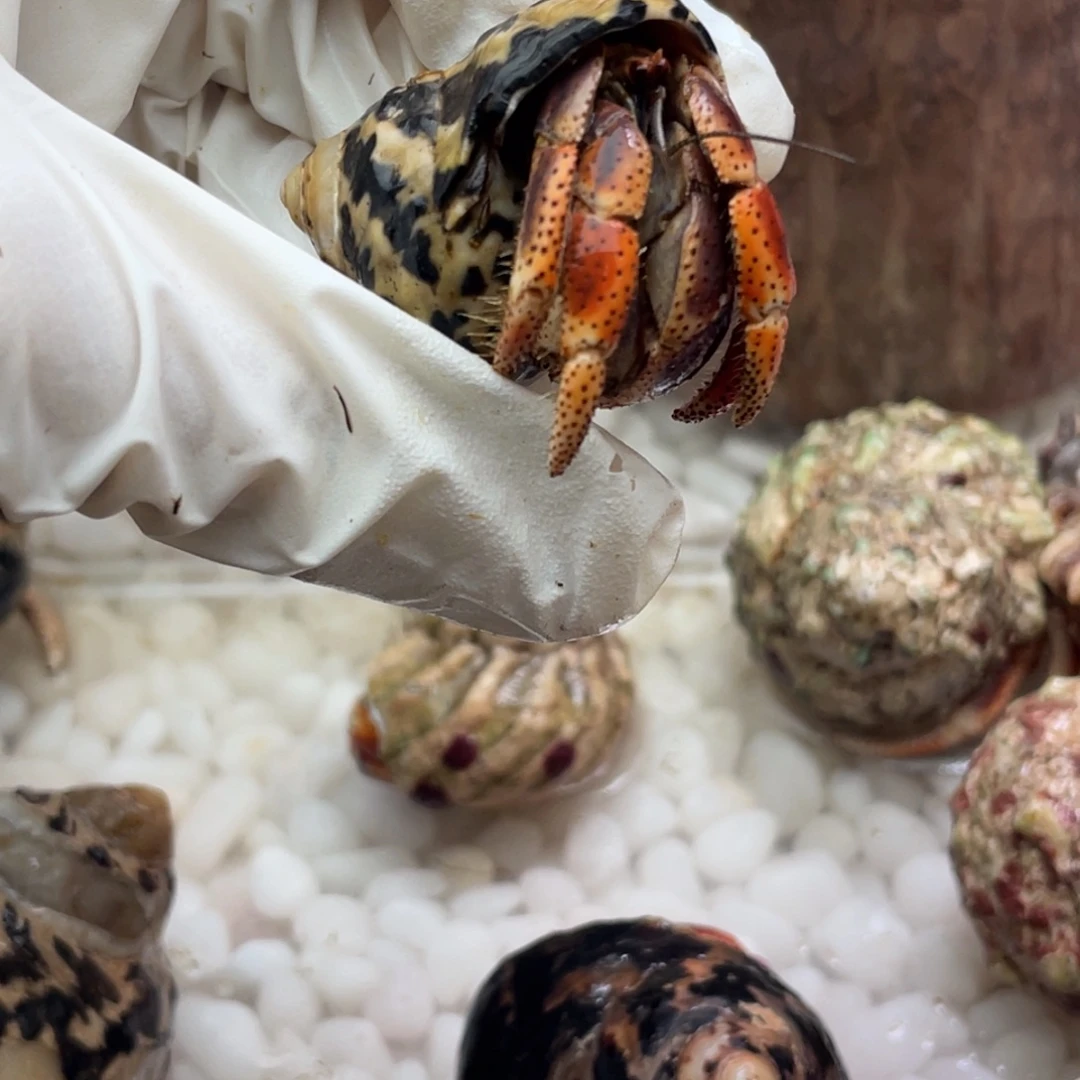 @***财招财拍好看好看好看